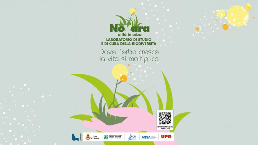 Novara città in erba