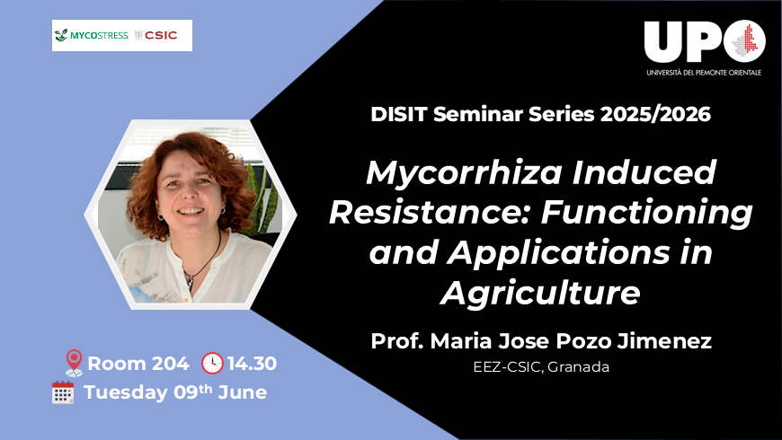 DISIT Seminar Series - Prof. Maria Josè Pozo Jimenez