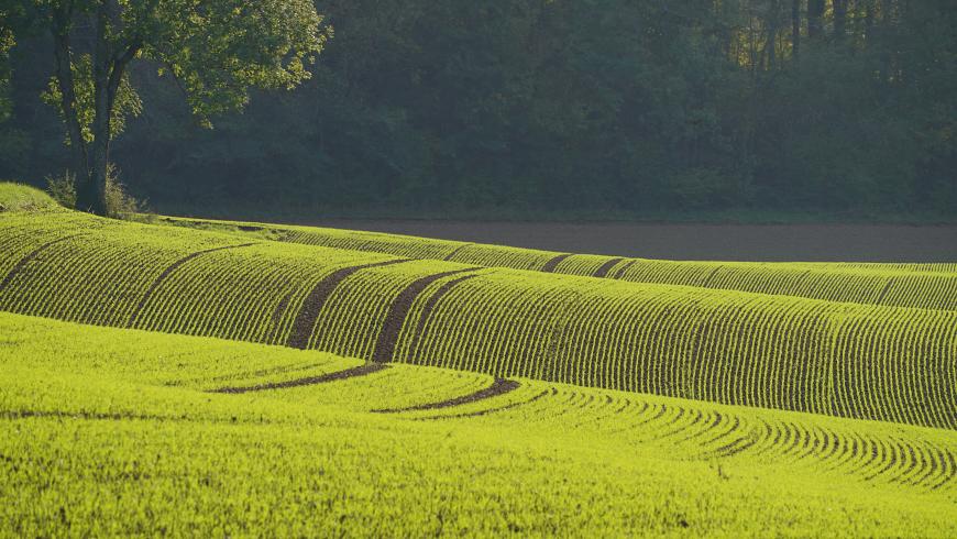 Prima edizione del master di II livello in "One health: agricoltura e ambiente": ammissioni fino al 31 ottobre 2026, ore 12:00