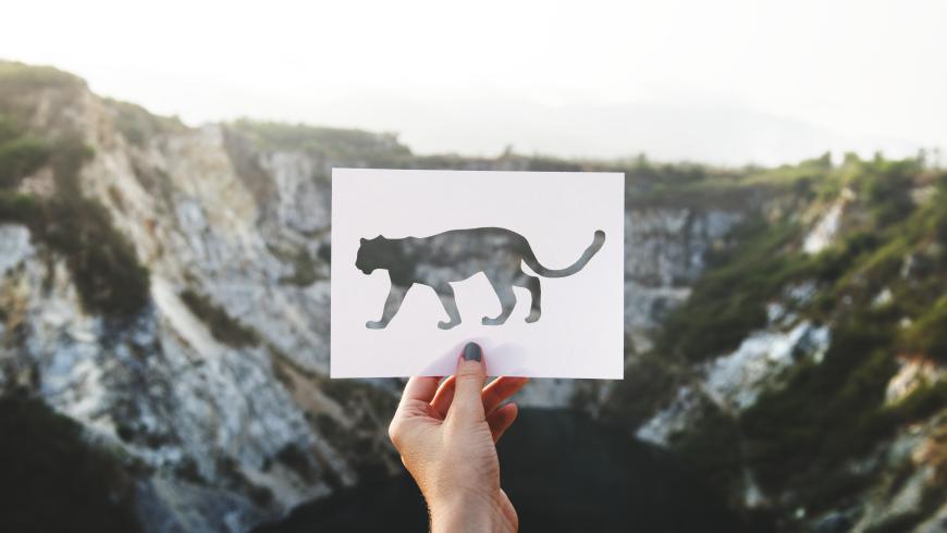 The Environment Between Rights and Duties – What Place for Animals?